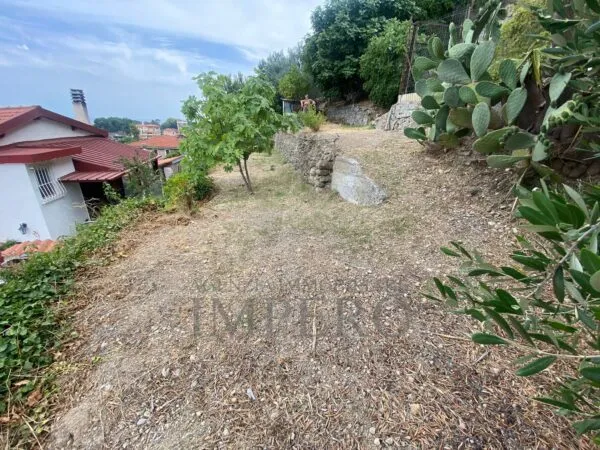 Villa Trifamiliare corso Della Repubblica, Camporosso