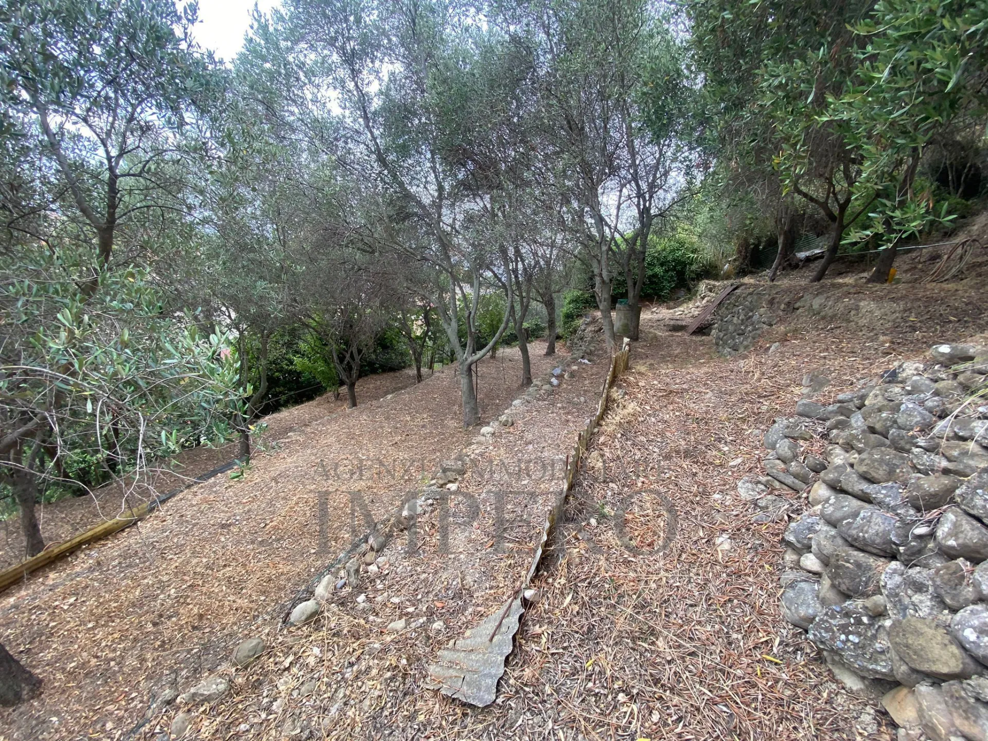 Immagine per Villa trifamiliare in vendita a Camporosso corso Della Repubblica