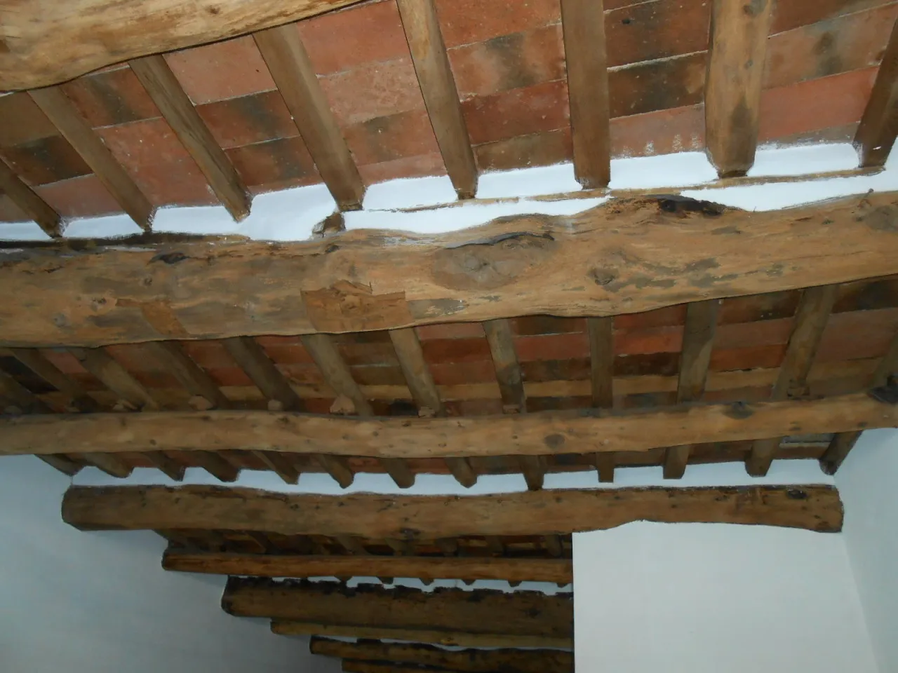 Immagine per Capannone in vendita a Lucca