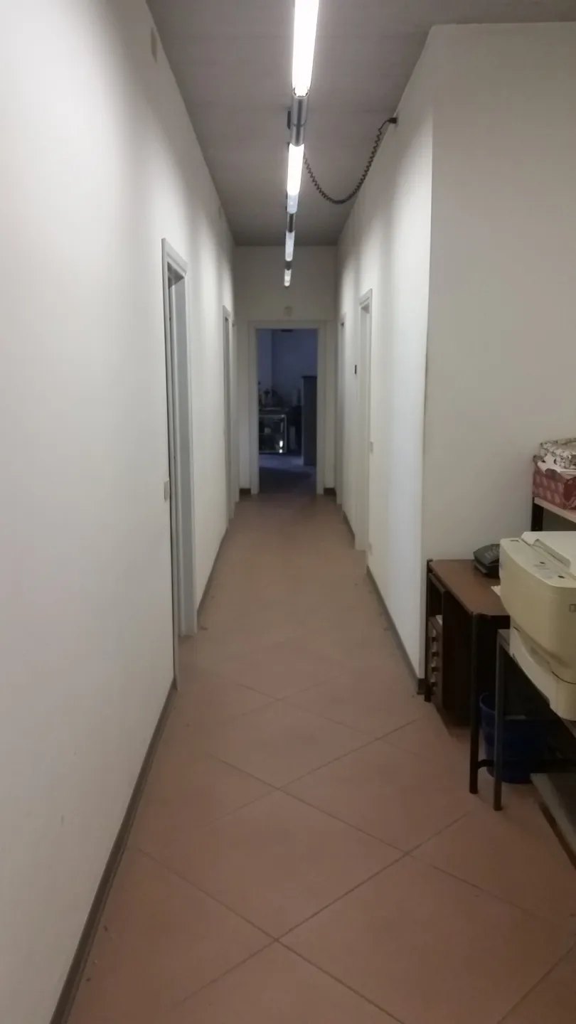 Immagine per Capannone in vendita a Lucca via Del Seminario