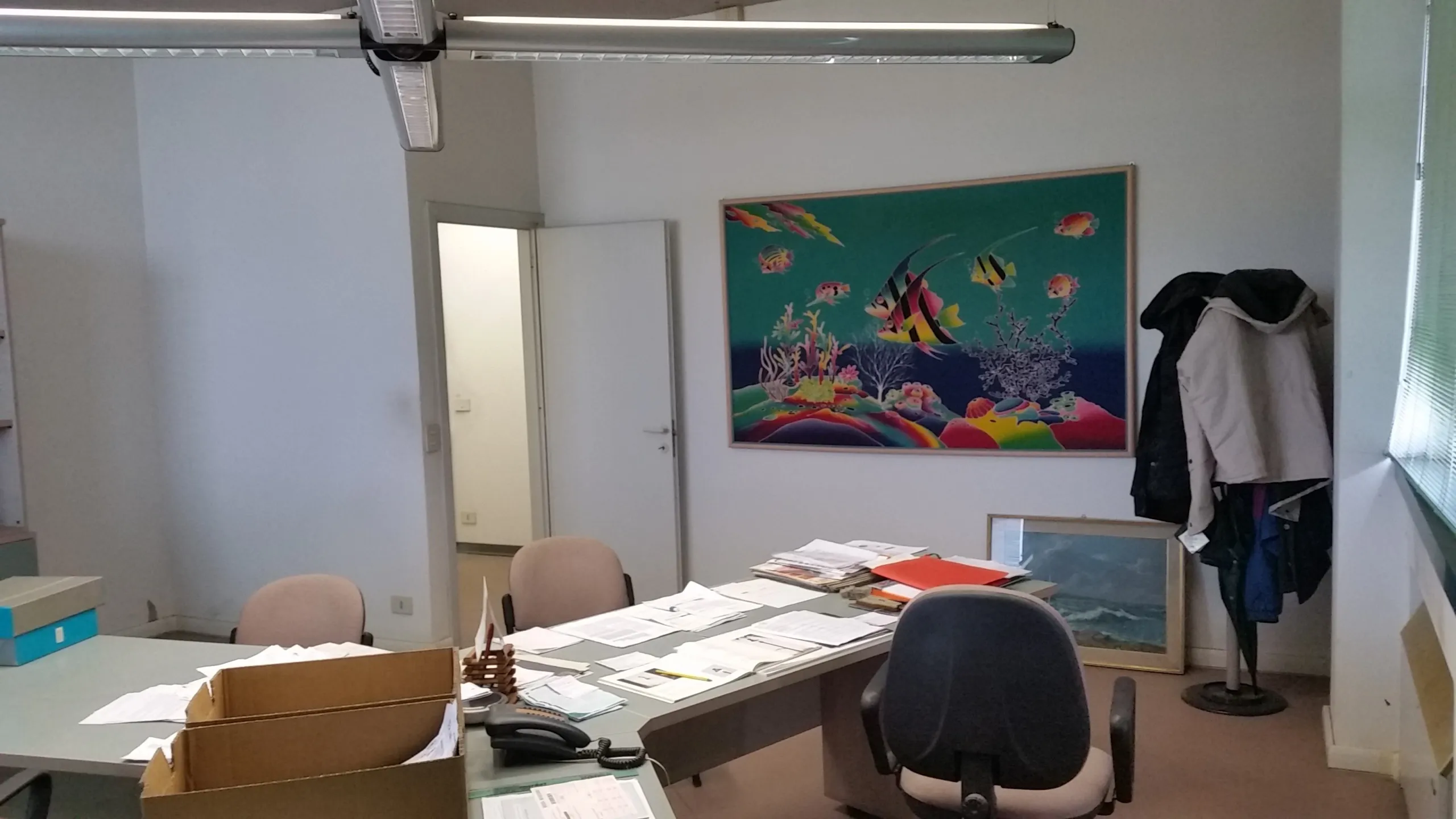 Immagine per Capannone in vendita a Lucca via Del Seminario