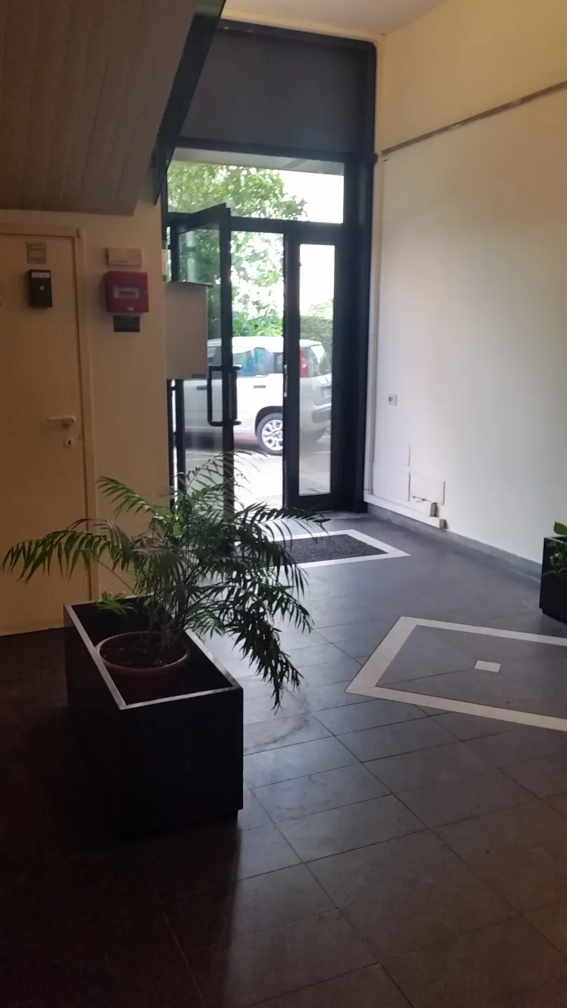 Immagine per Area verde in affitto a Lucca via Di Tempagnano