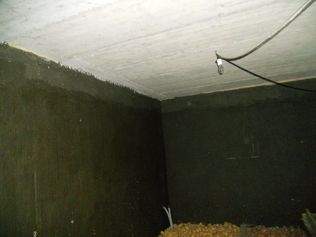Immagine per Villa in vendita a Castelnuovo Magra via Canale 118