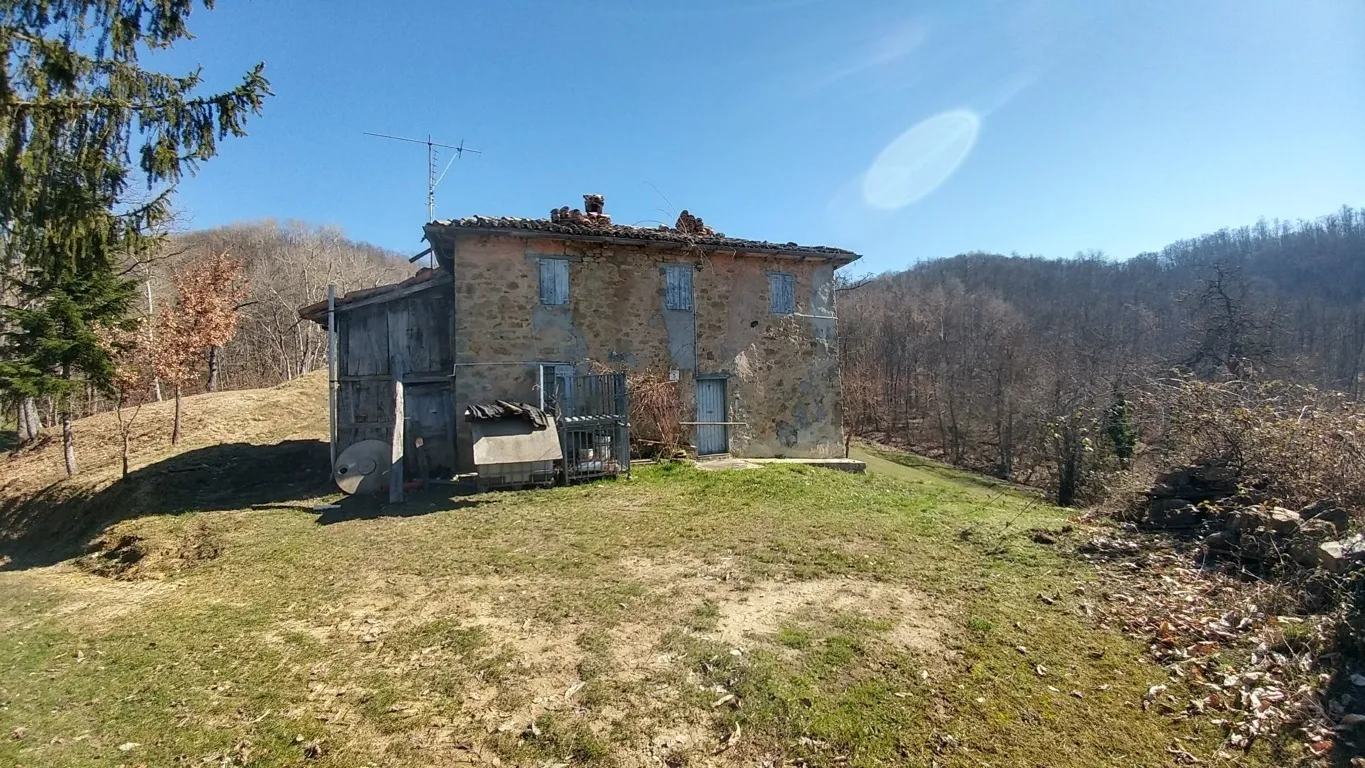 Immagine per Rustico in vendita a Zocca 1231
