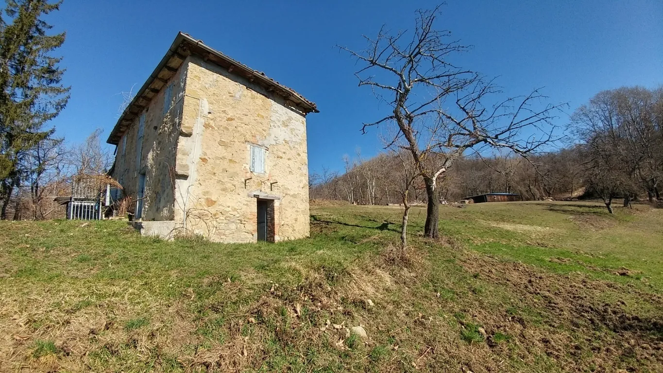 Immagine per Rustico in vendita a Zocca 1231