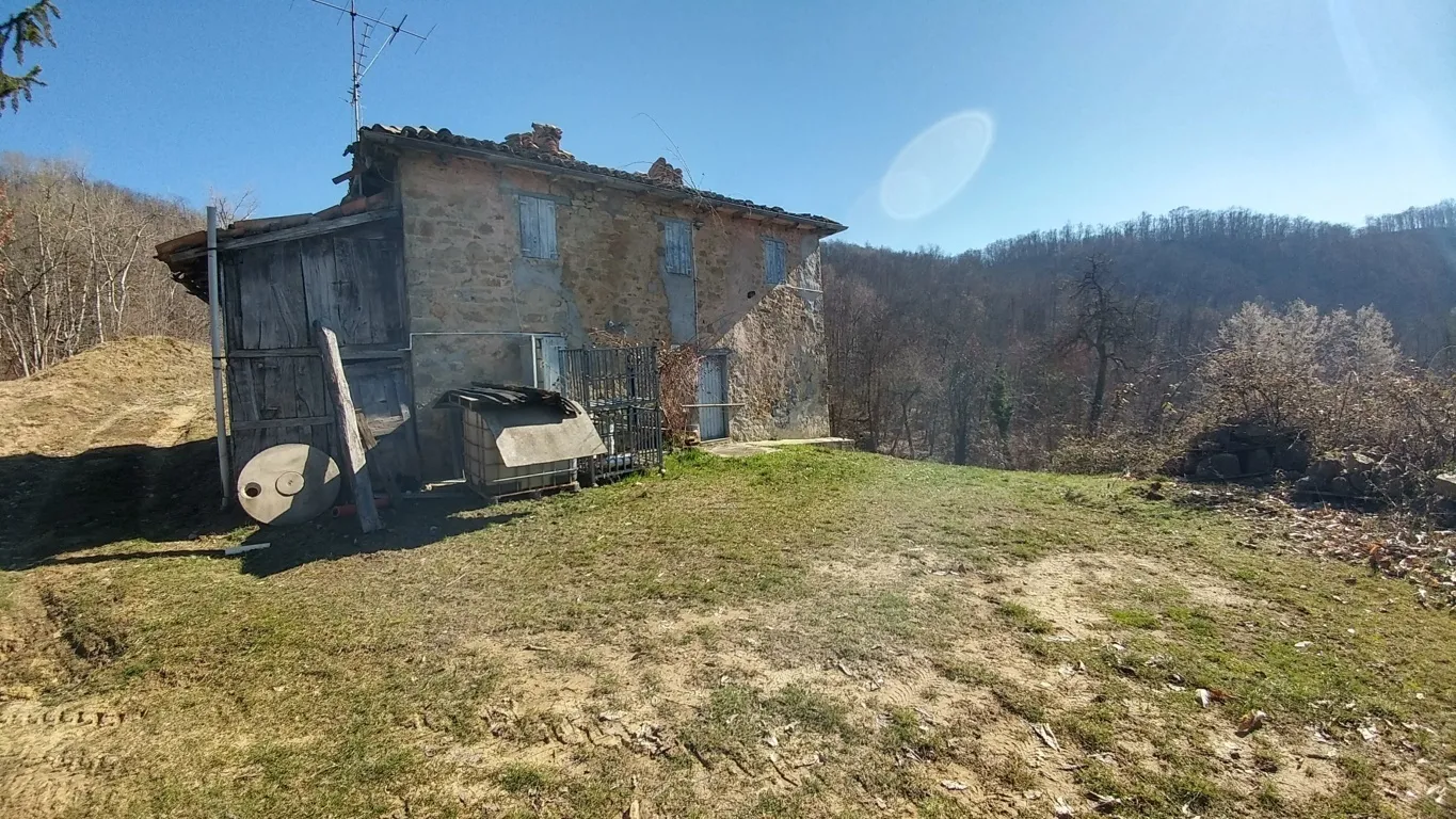 Immagine per Rustico in vendita a Zocca 1231