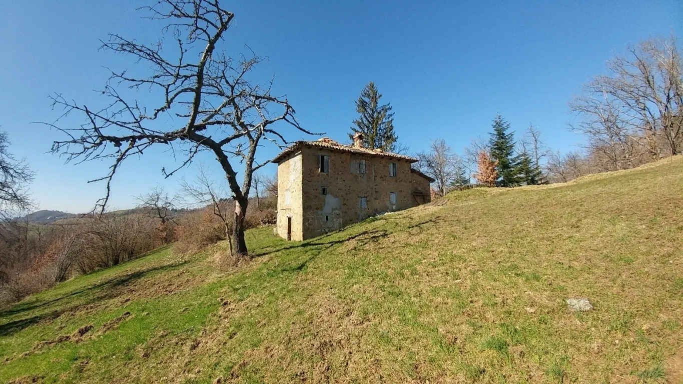 Immagine per Rustico in vendita a Zocca 1231