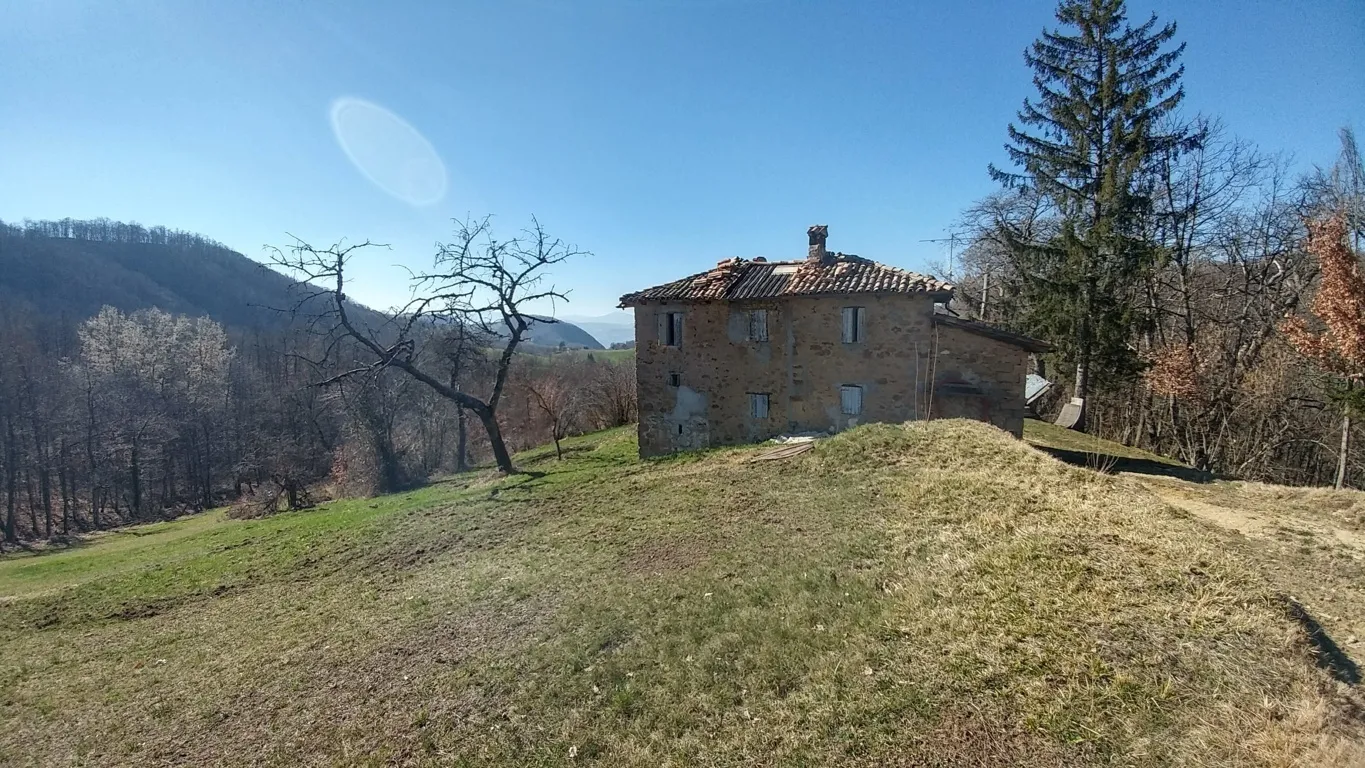 Immagine per Rustico in vendita a Zocca 1231