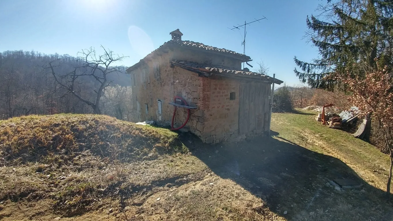 Immagine per Rustico in vendita a Zocca 1231
