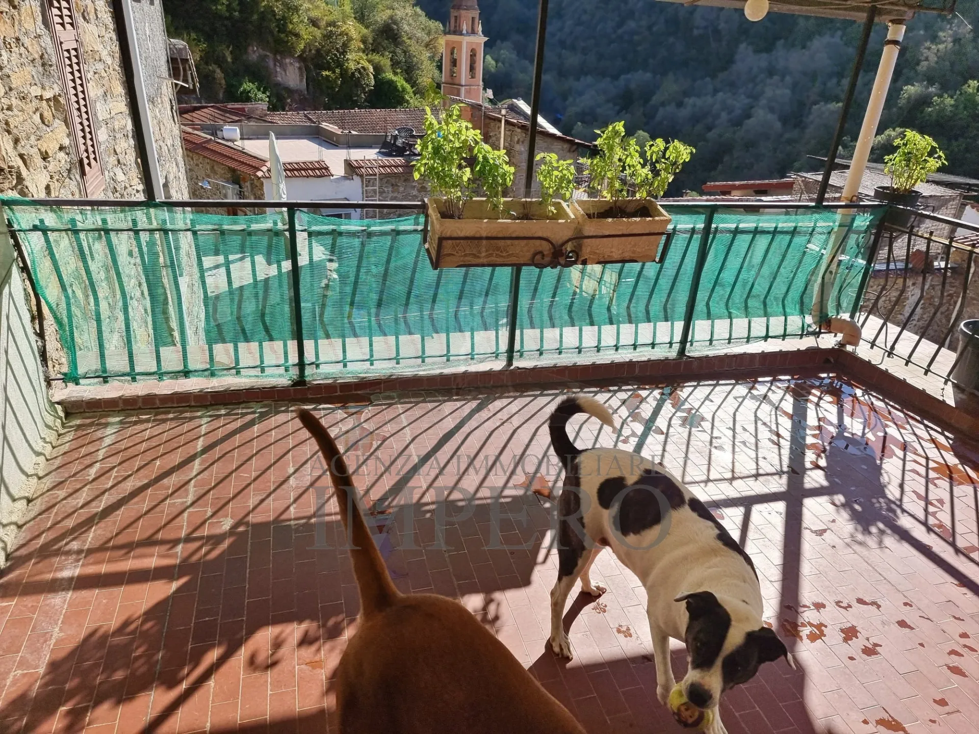 Immagine per Porzione di casa in vendita a Camporosso