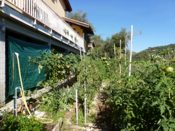 Villa Trifamiliare strada Degli Olandesi, Camporosso
