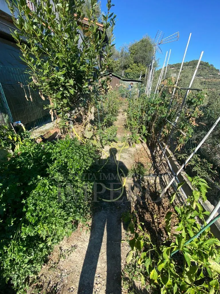 Immagine per Villa trifamiliare in vendita a Camporosso strada Degli Olandesi