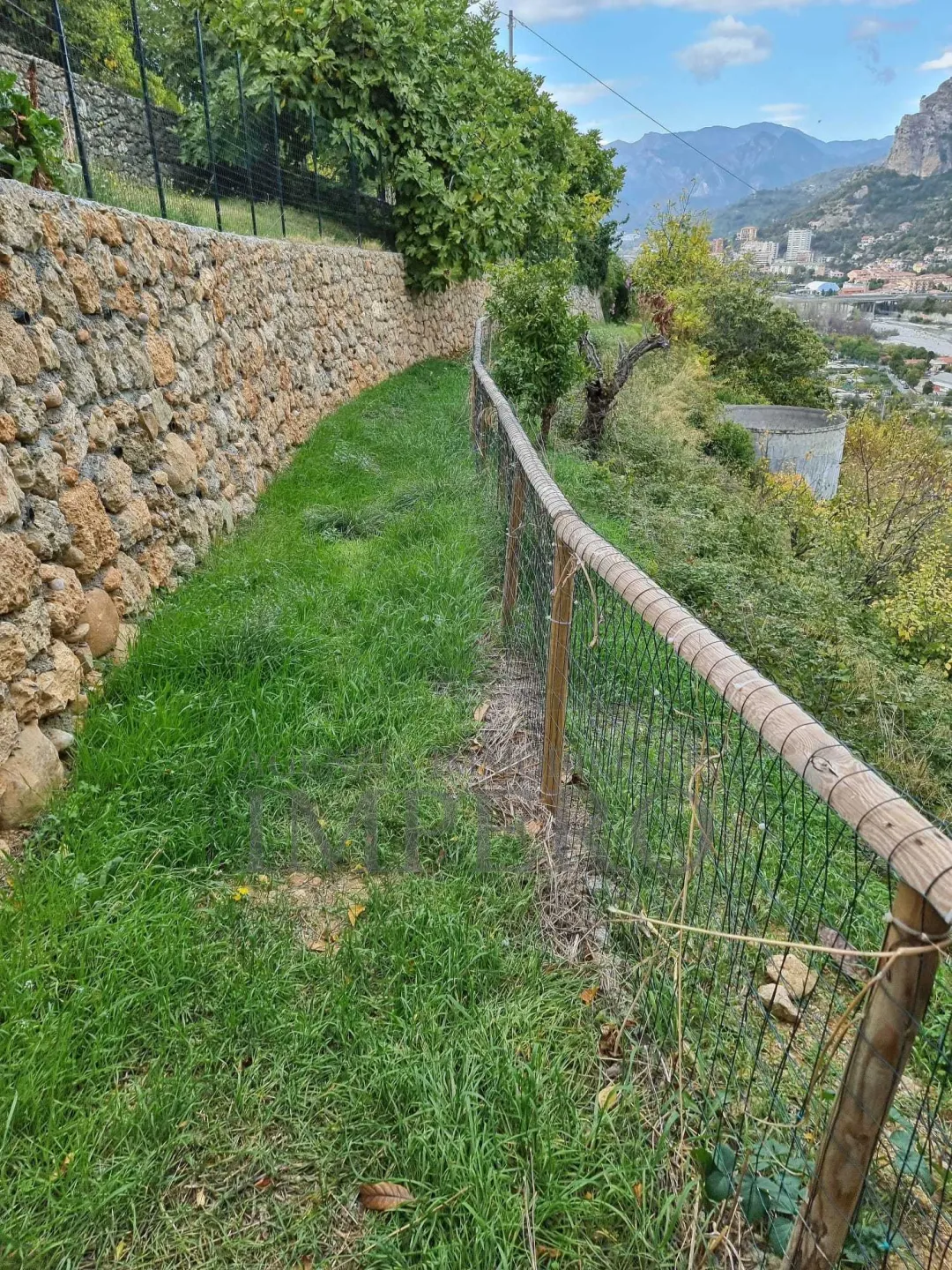 Immagine per Uliveto in vendita a Ventimiglia via Monsignore Daffra