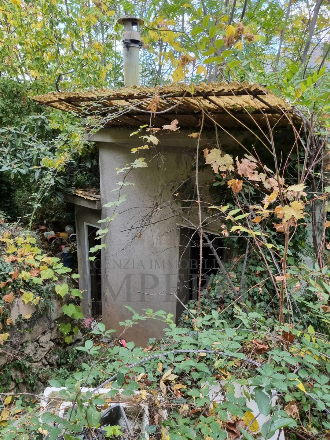 Immagine per Uliveto in vendita a Ventimiglia via Monsignore Daffra
