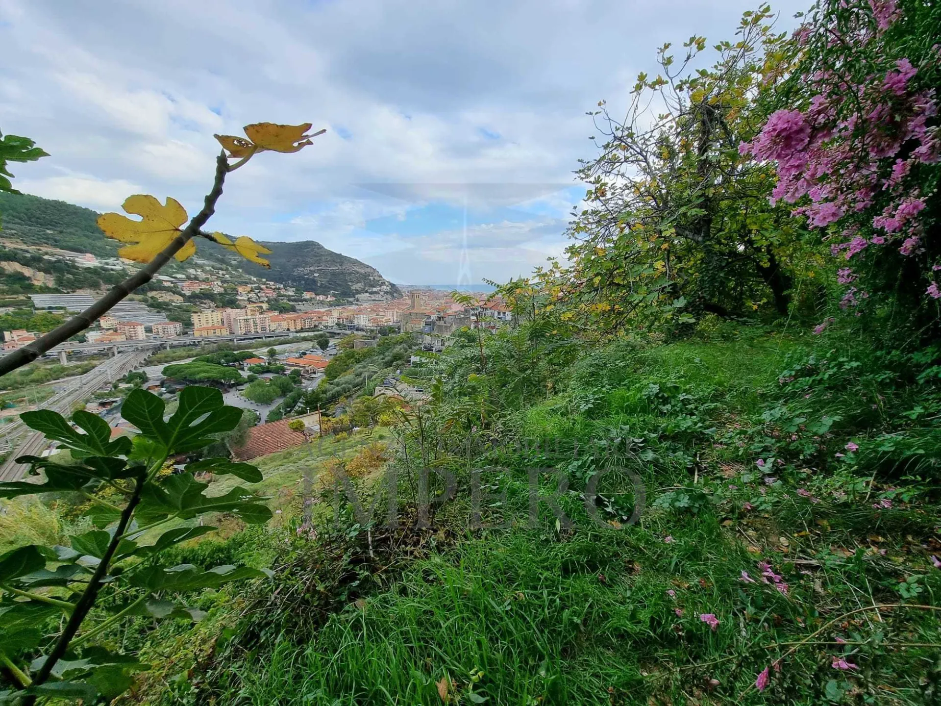 Immagine per Uliveto in vendita a Ventimiglia via Monsignore Daffra