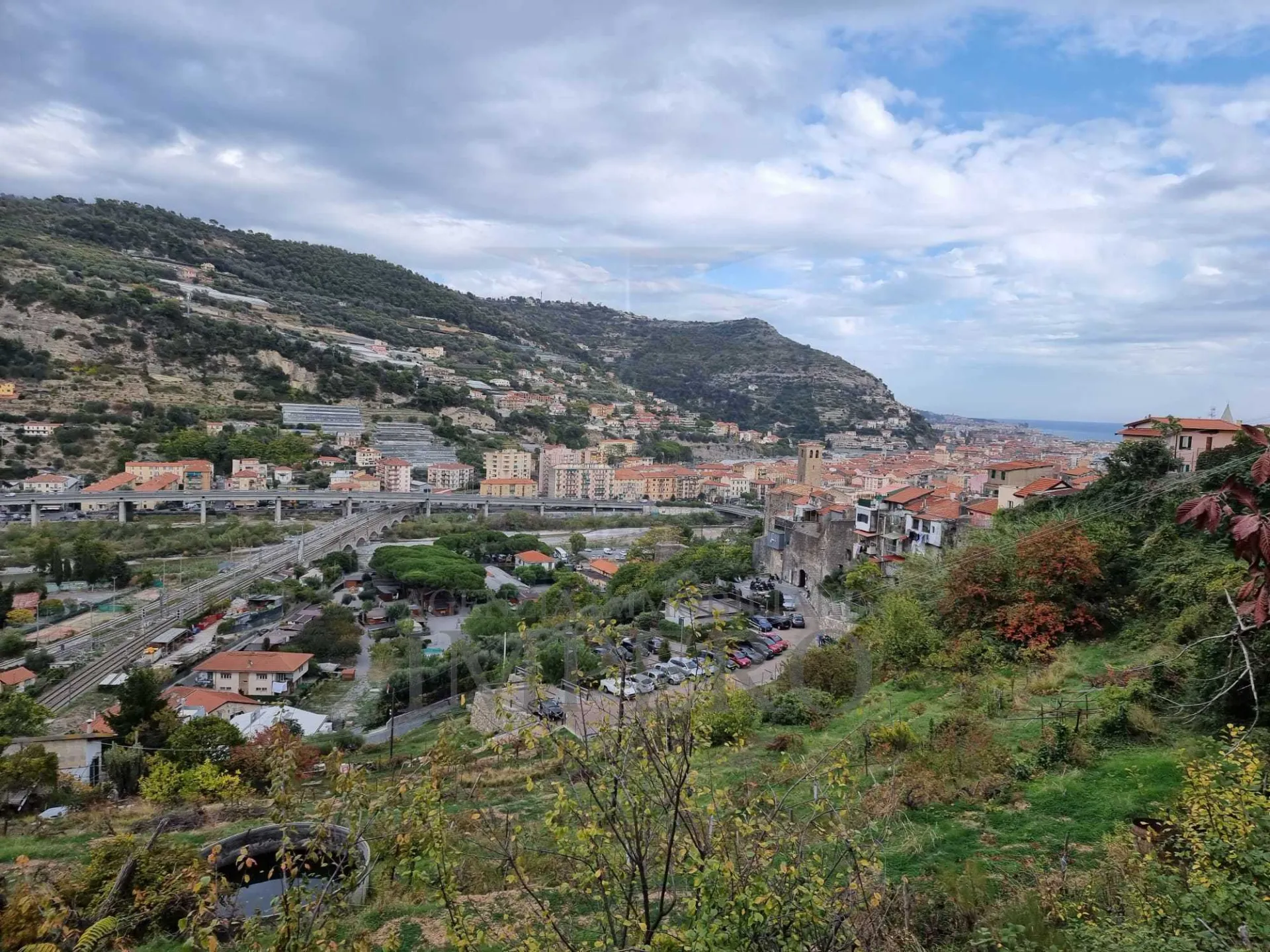Immagine per Uliveto in vendita a Ventimiglia via Monsignore Daffra