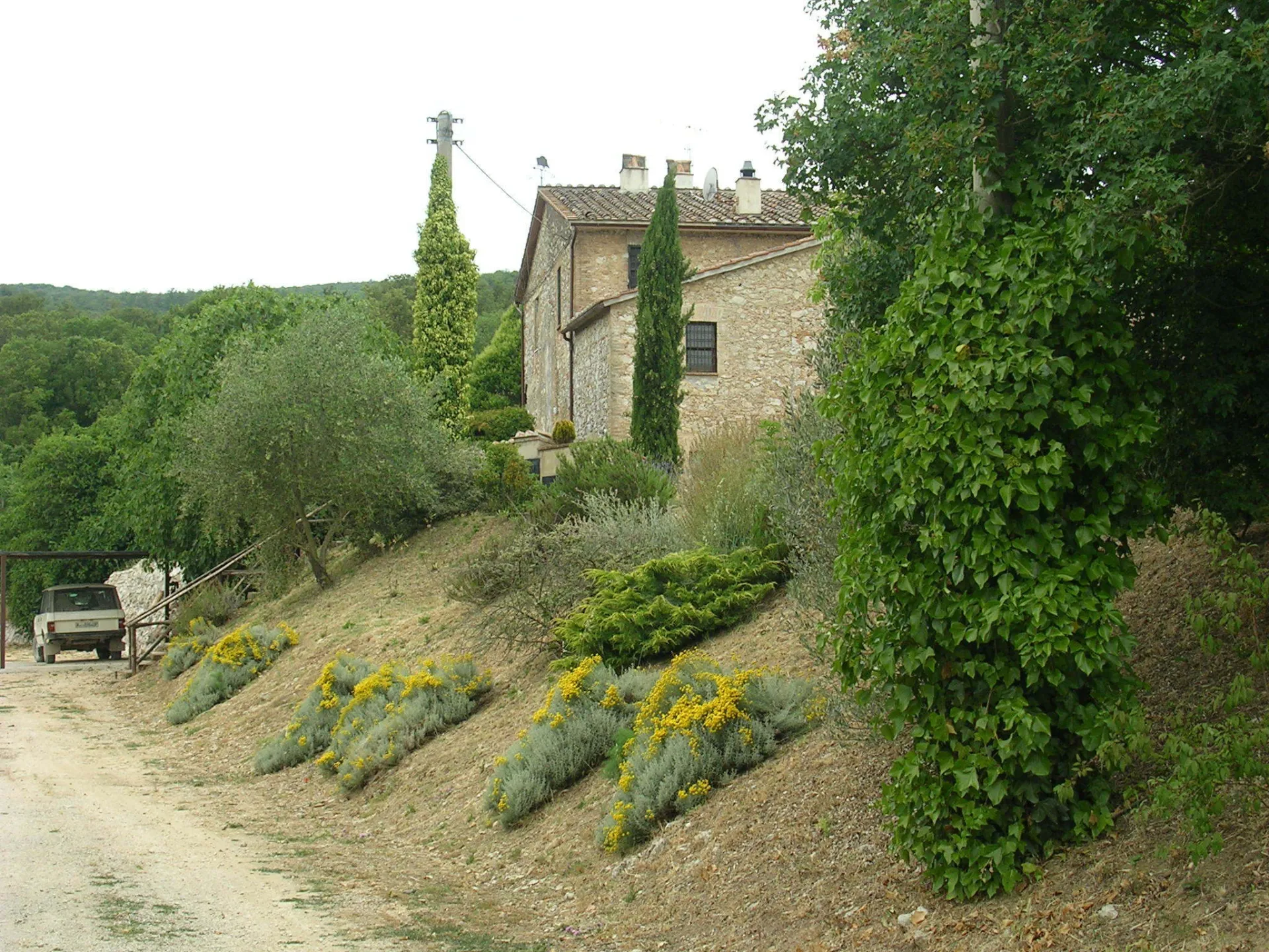 Immagine per Casale in vendita a Guardea via Località La Selve snc