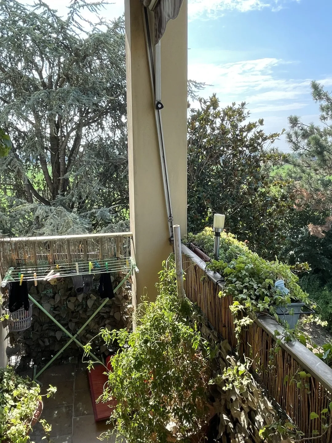 Immagine per Appartamento in vendita a Polesine Zibello via Chiarenzana 9