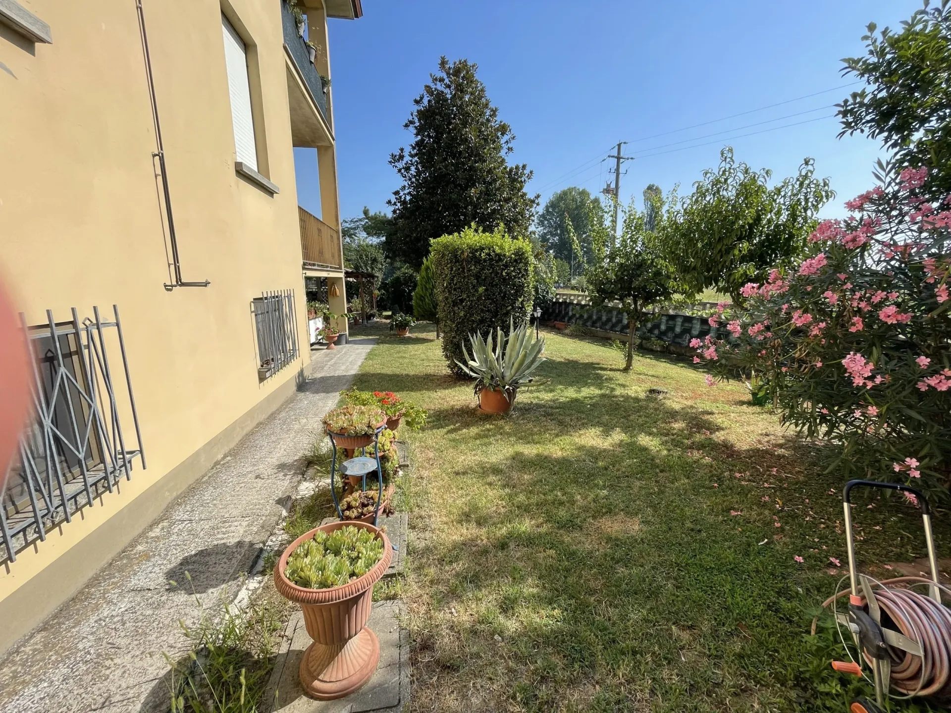 Immagine per Quadrilocale in vendita a Polesine Zibello via Filippo Melloni 3