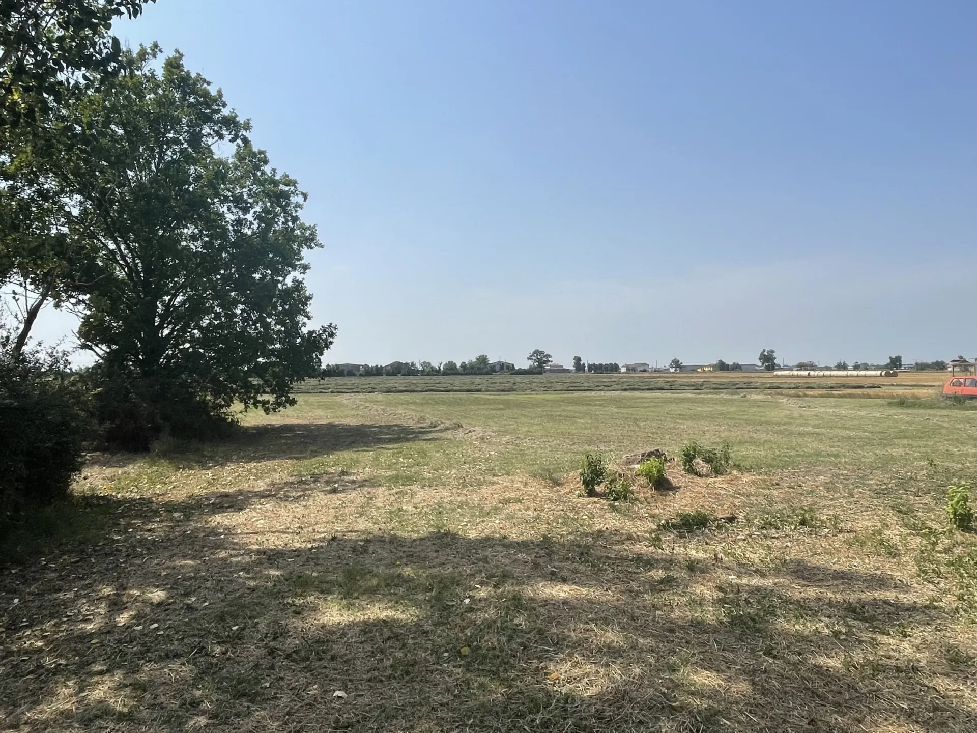 Immagine per Villa in vendita a Busseto strada Fossa 26