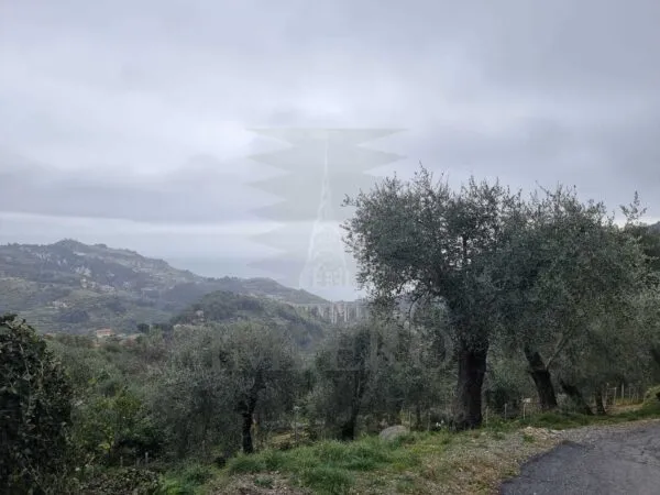Villa Trifamiliare via Delle Otto Case 216, Ventimiglia