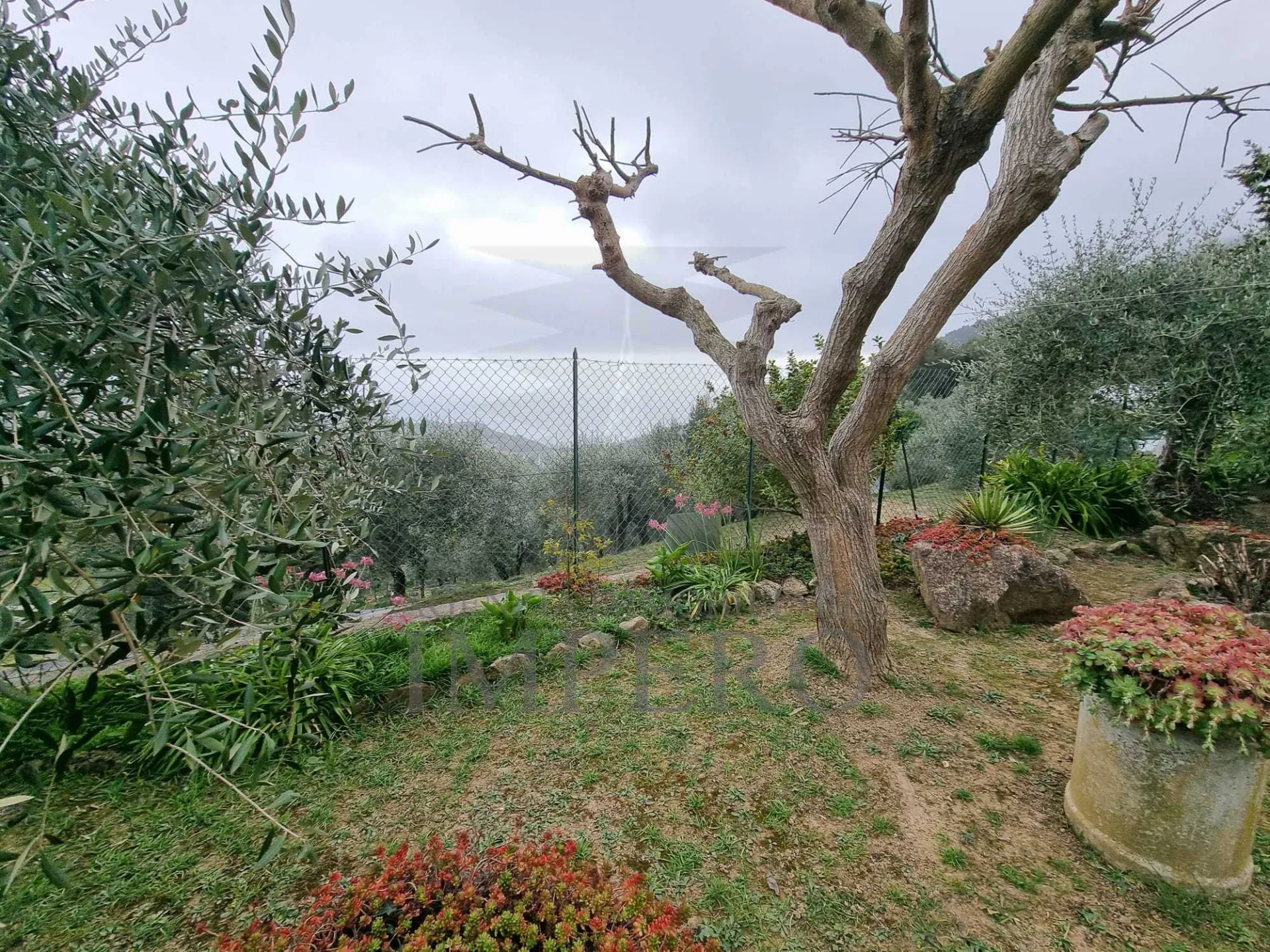 Immagine per Villa trifamiliare in vendita a Ventimiglia via Delle Otto Case 216
