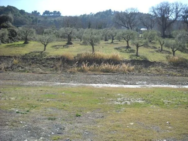 Terreno Agricolo via Bore Tesino, Grottammare