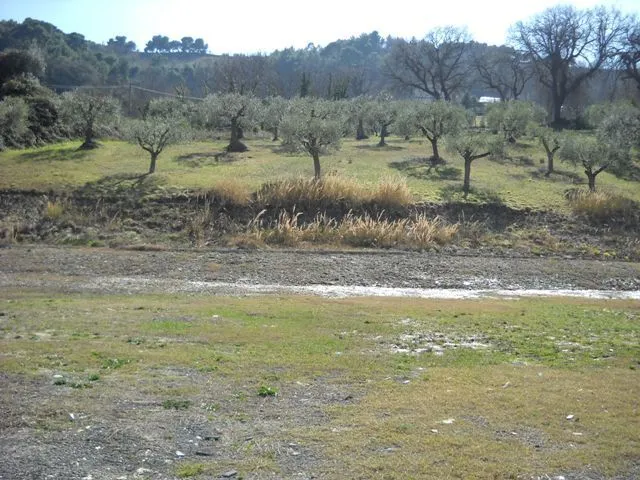 Immagine per Terreno agricolo in affitto a Grottammare via Bore Tesino