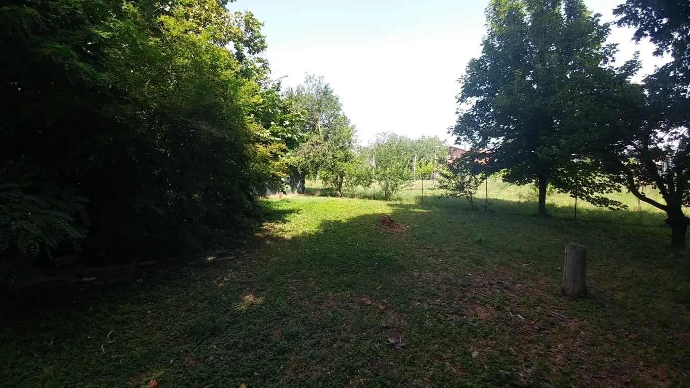 Immagine per Rustico in vendita a Modena via Jacopo Da Porto Sud 232