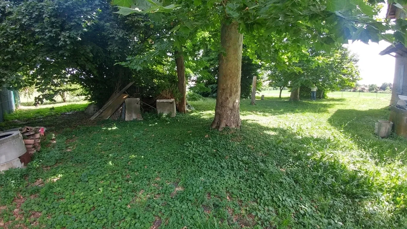 Immagine per Rustico in vendita a Modena via Jacopo Da Porto Sud 232