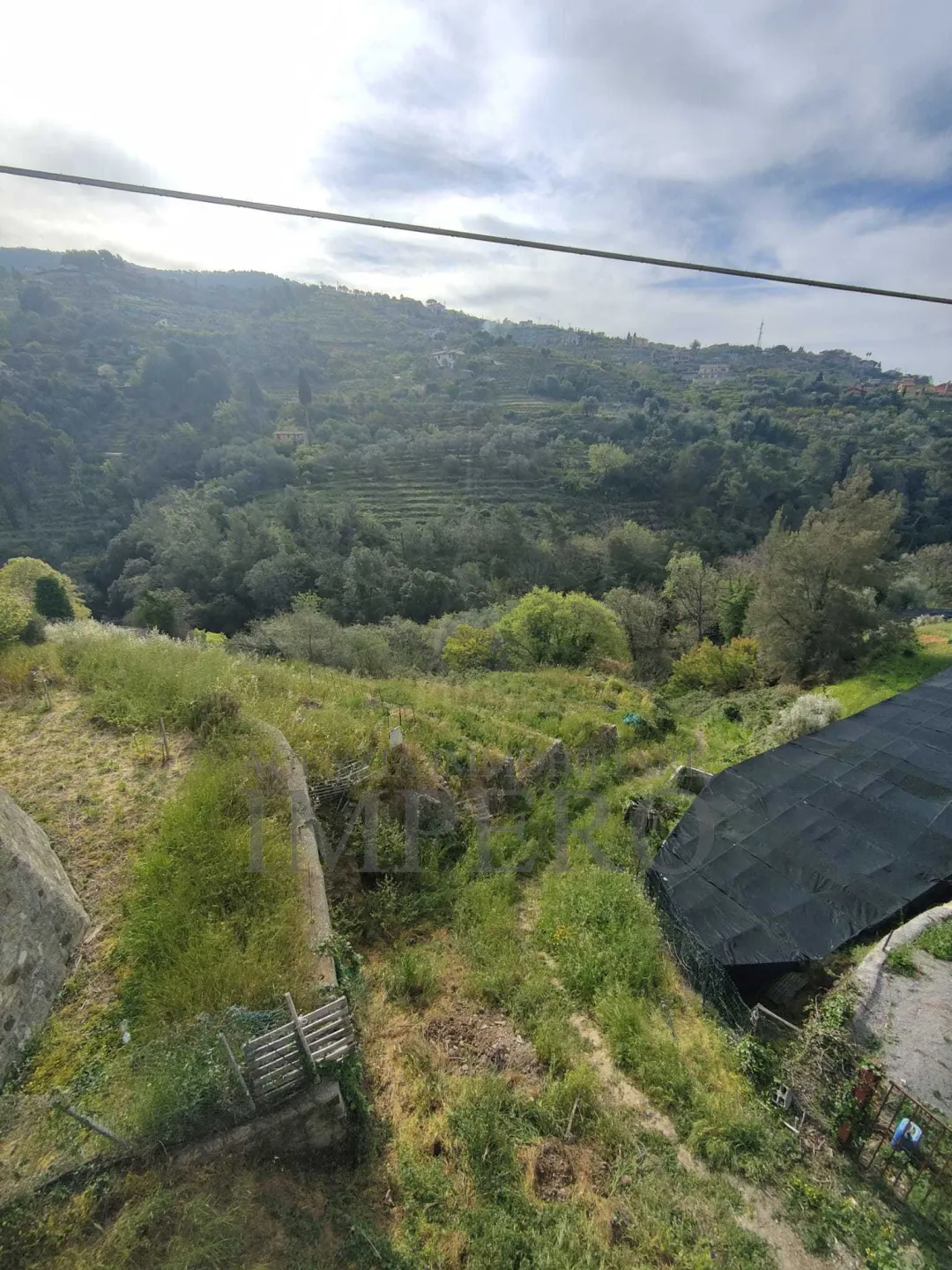 Immagine per Area verde in vendita a Vallebona via Grilli
