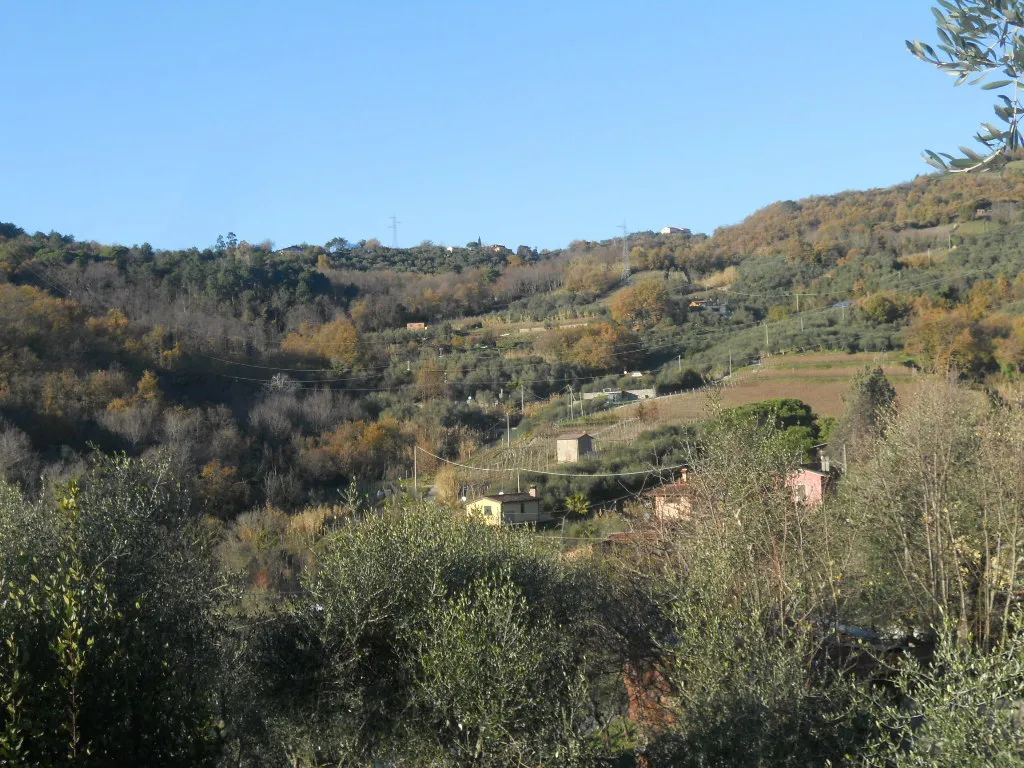 Immagine per casa semindipendente in vendita a Luni via Serravalle