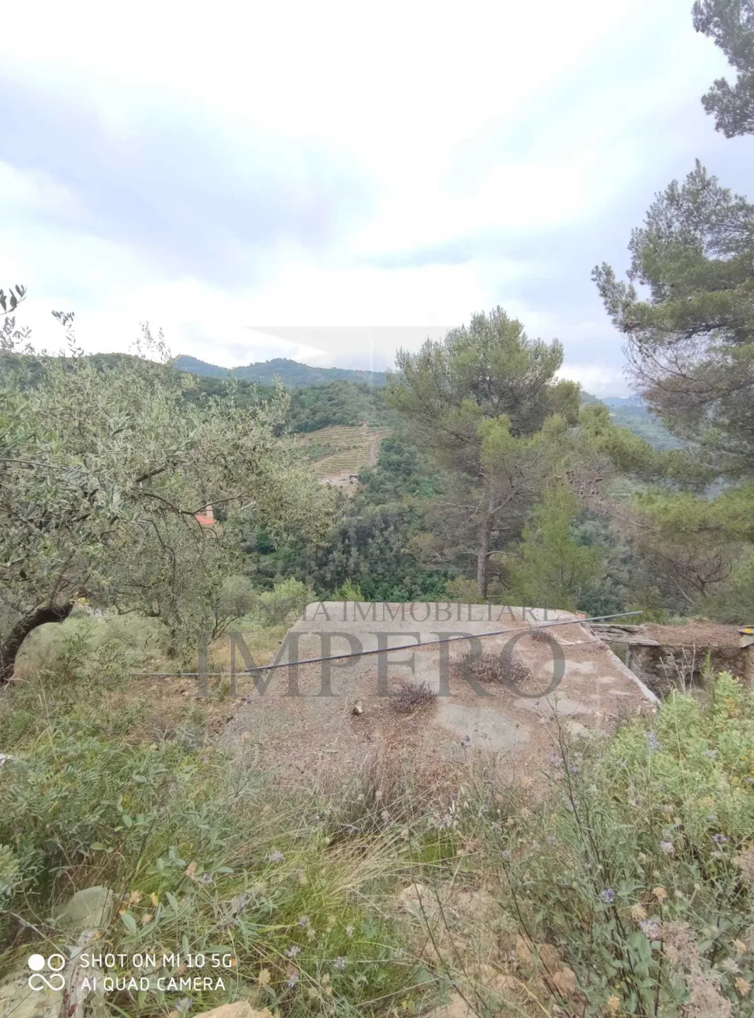 Immagine per Area verde in vendita a Ventimiglia via Frazione Verrandi