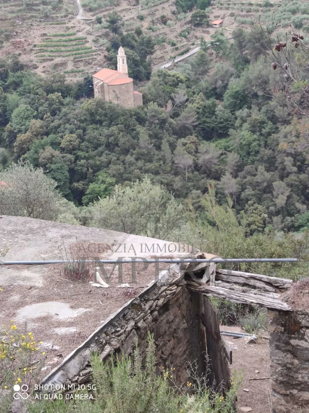 Immagine per Area verde in vendita a Ventimiglia via Frazione Verrandi
