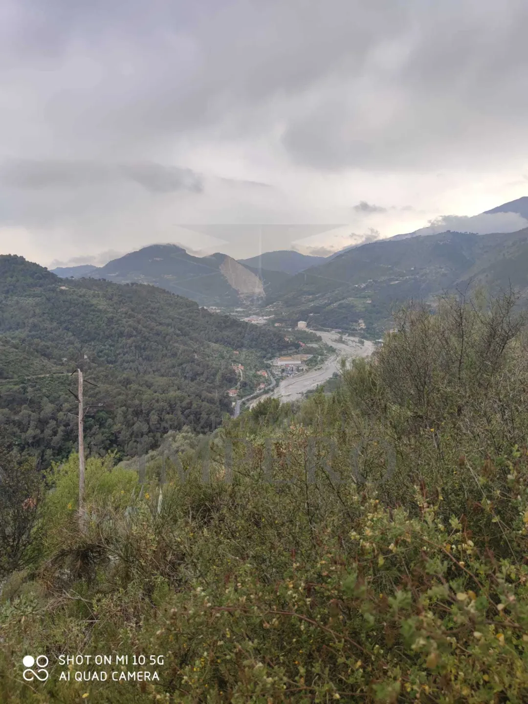 Immagine per Area verde in vendita a Ventimiglia via Frazione Verrandi