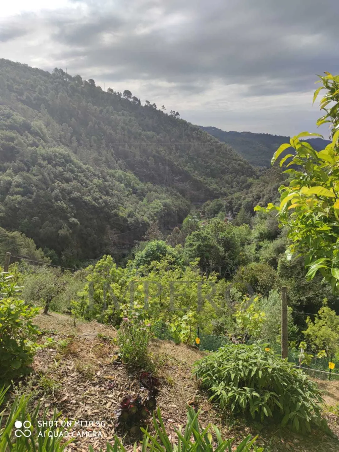 Immagine per casa in vendita a Dolceacqua strada Provinciale
