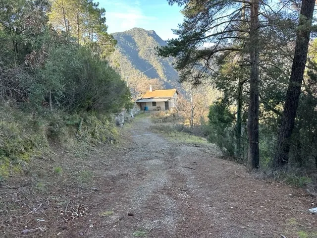Immagine per Bosco in vendita a Dolceacqua