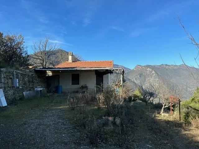 Immagine per Bosco in vendita a Dolceacqua