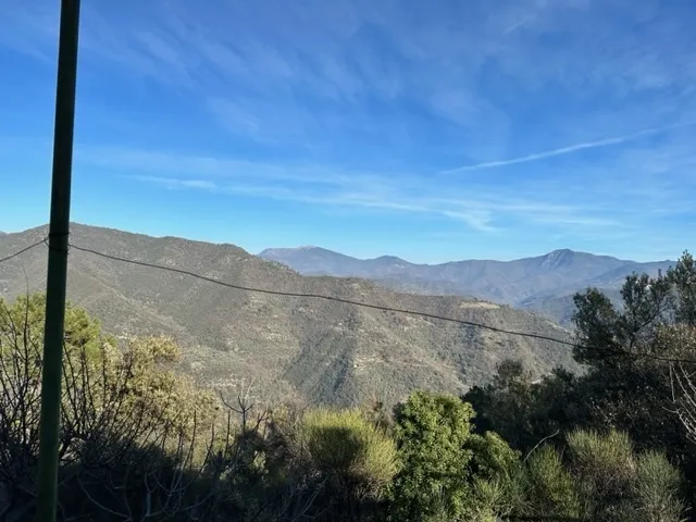 Immagine per Bosco in vendita a Dolceacqua