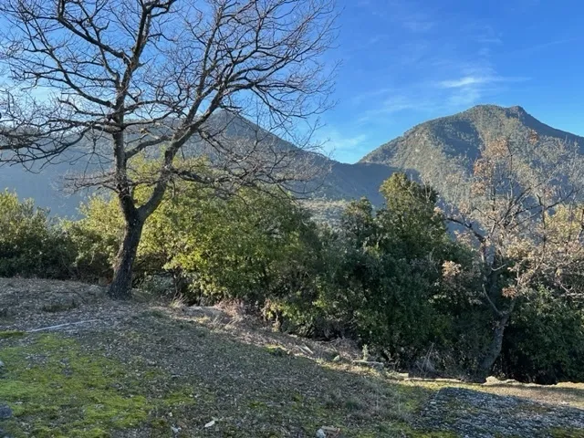 Immagine per Bosco in vendita a Dolceacqua