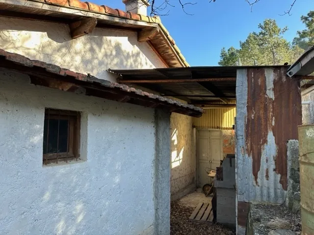 Immagine per Bosco in vendita a Dolceacqua