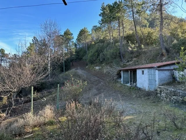Immagine per Bosco in vendita a Dolceacqua