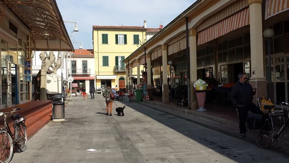 Immagine per Capannone in vendita a Viareggio via Vittorio Veneto