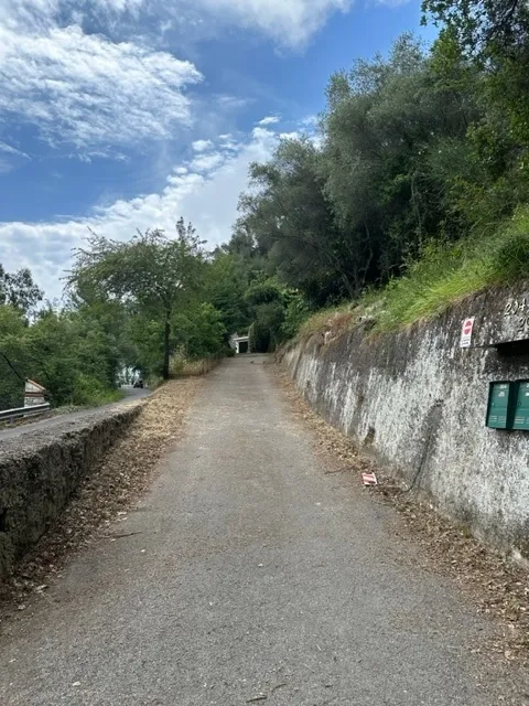 Immagine per Villa in vendita a Camporosso strada Olandesi