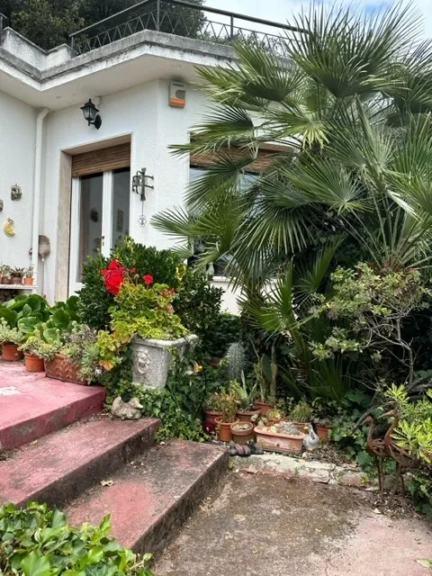 Immagine per Villa in vendita a Camporosso strada Olandesi