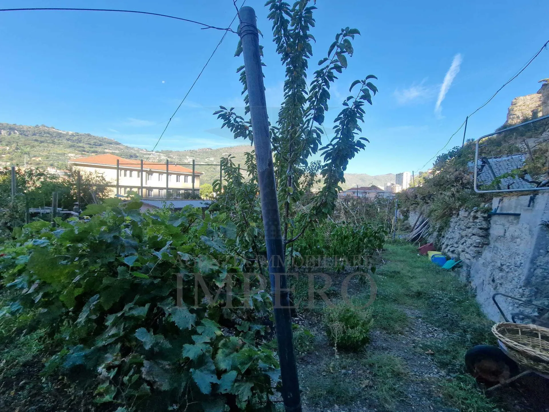 Immagine per Terreno Agricolo in vendita a Ventimiglia corso Limone Piemonte 10