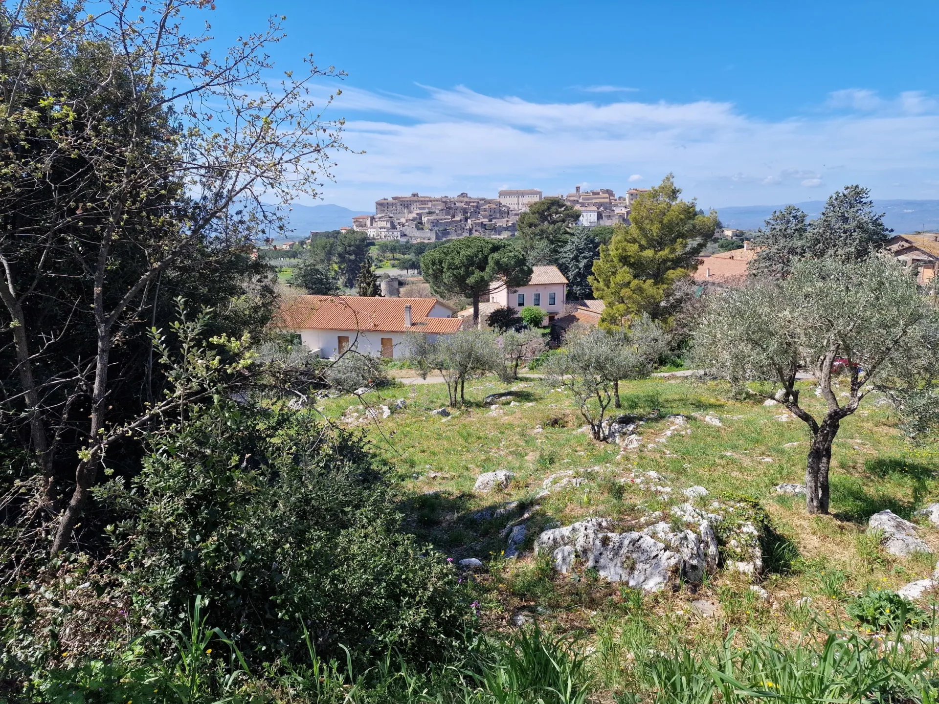 Immagine per Terreno edificabile in vendita a Lugnano in Teverina via Madonna Dei Pini