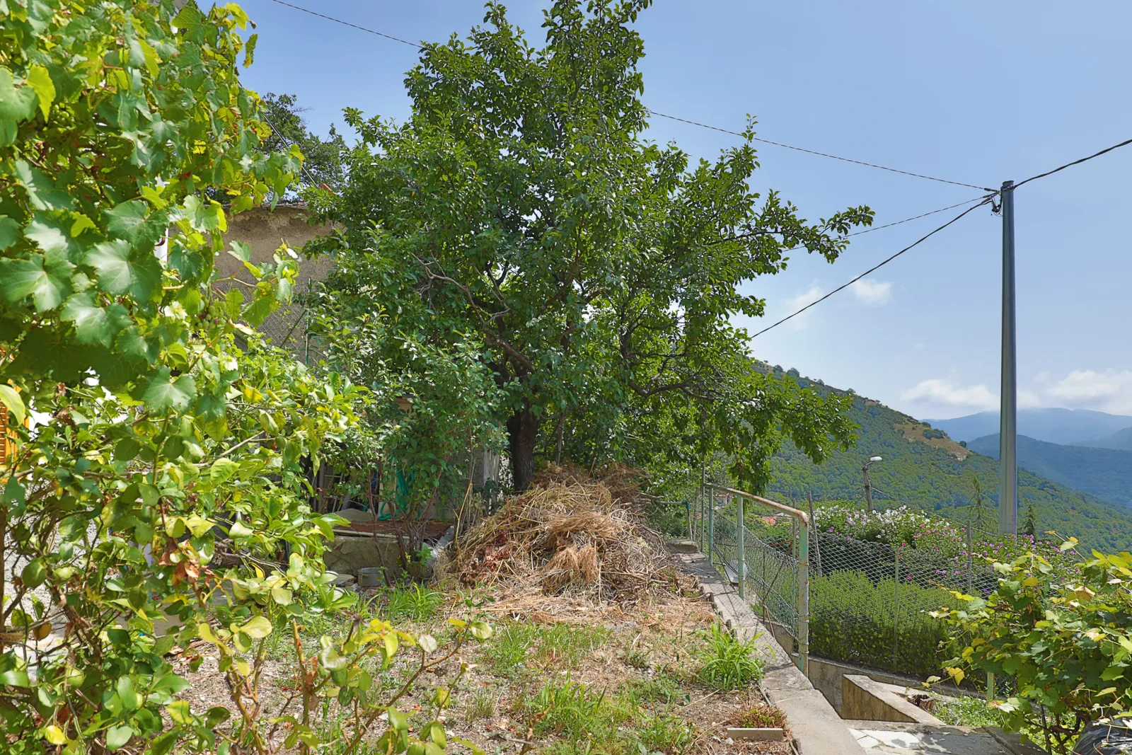 Immagine per Villa a schiera in vendita a Sant'Olcese via Otrali