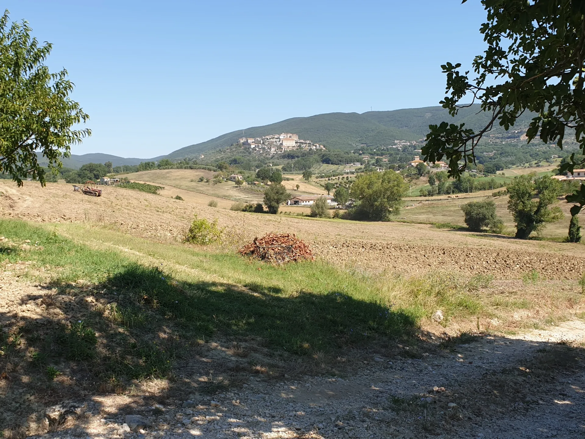 Immagine per Porzione di casa in vendita a Lugnano in Teverina via Vocabolo Para