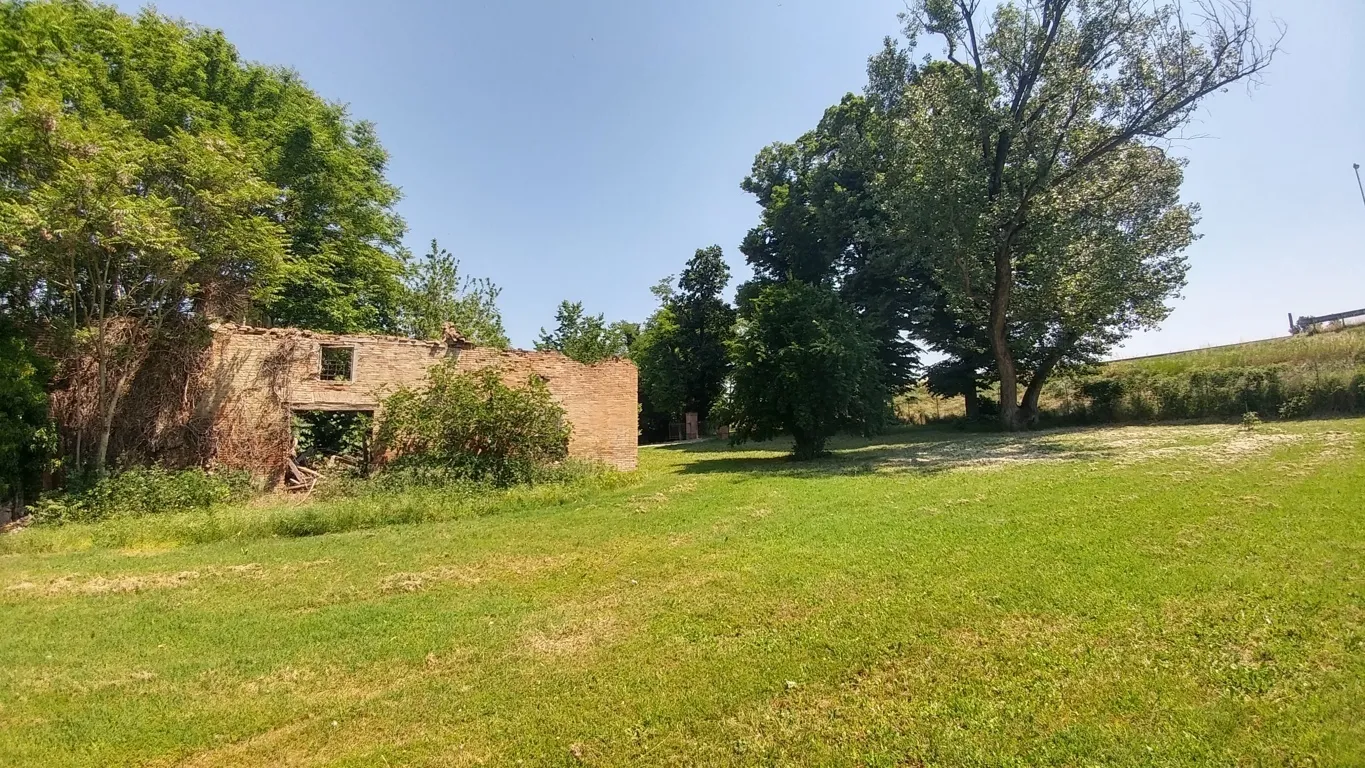 Immagine per Villa in vendita a Bomporto